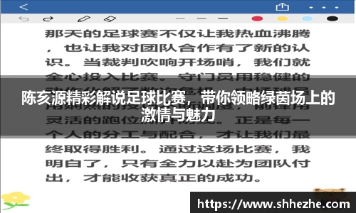 陈亥源精彩解说足球比赛，带你领略绿茵场上的激情与魅力