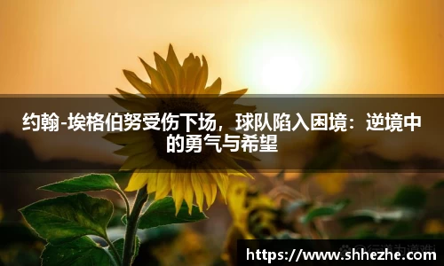 约翰-埃格伯努受伤下场，球队陷入困境：逆境中的勇气与希望